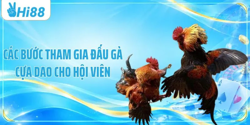 Các bước tham gia đấu gà cựa dao cho hội viên