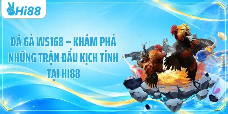 Đá Gà WS168 – Khám Phá Những Trận Đấu Kịch Tính Tại HI88