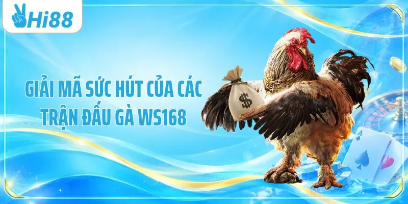 Giải mã sức hút của các trận đấu gà WS168