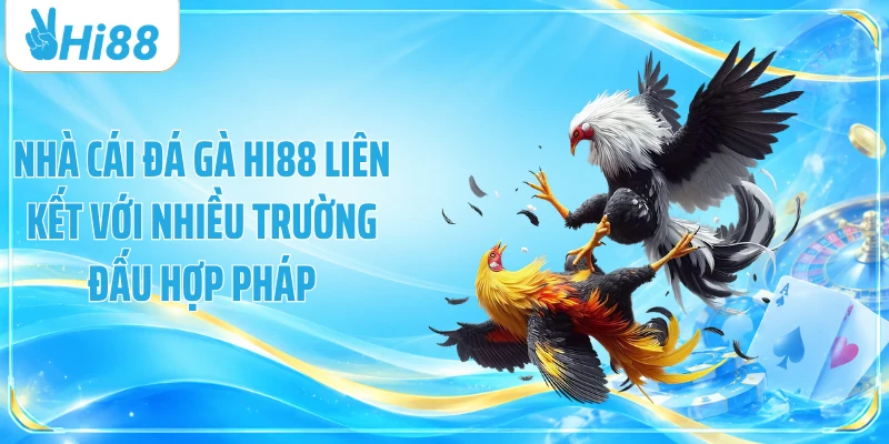 Nhà cái đá gà Hi88 liên kết với nhiều trường đấu hợp pháp