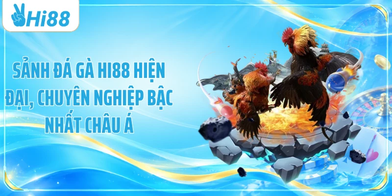 Sảnh đá gà Hi88 hiện đại, chuyên nghiệp bậc nhất châu Á