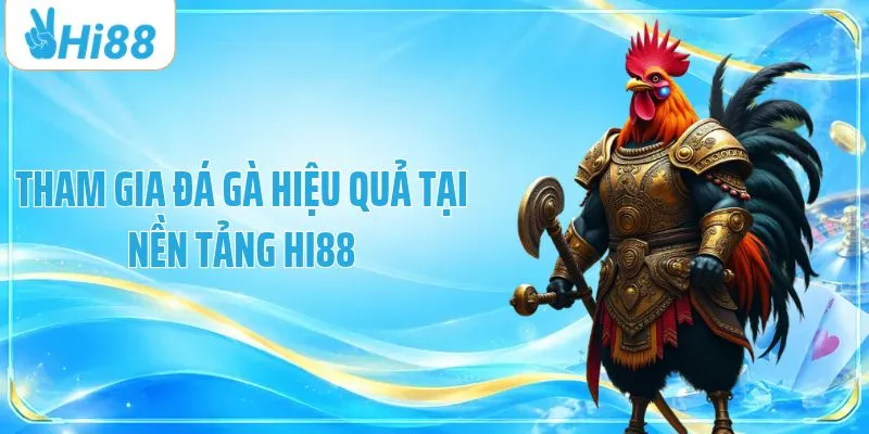 Tham gia đá gà hiệu quả tại nền tảng HI88
