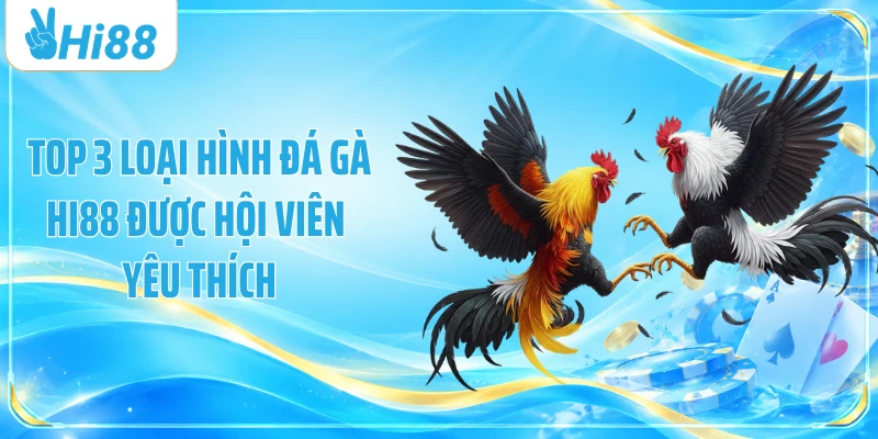 Top 3 loại hình đá gà Hi88 được hội viên yêu thích